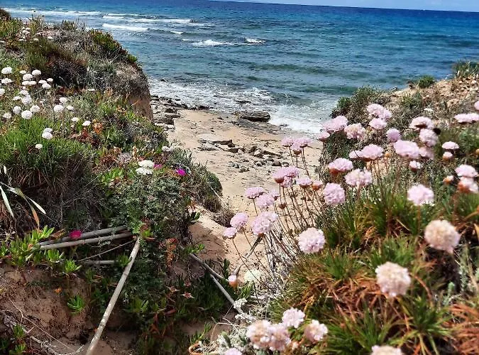 Vakantiehuis In Sardegna Con Giardino E Vista Mare Castelsardo